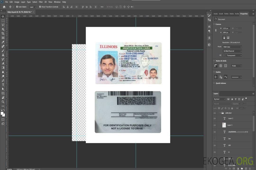 Carte d'identité de l'Illinois aux États-Unis template